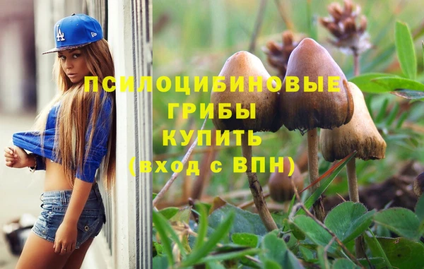 марки lsd Богородск